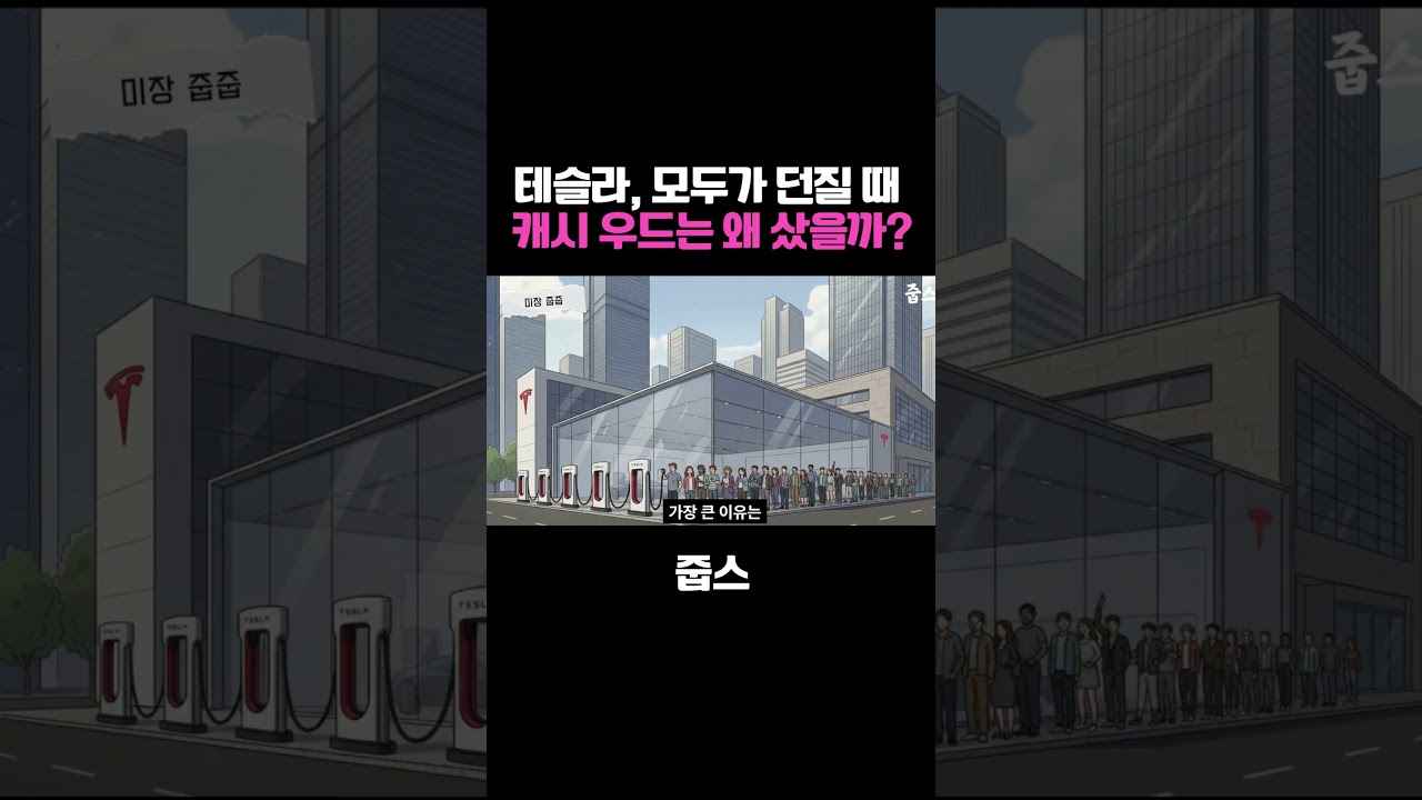 테슬라, 모두가 던질 때  캐시 우드는 왜 샀을까