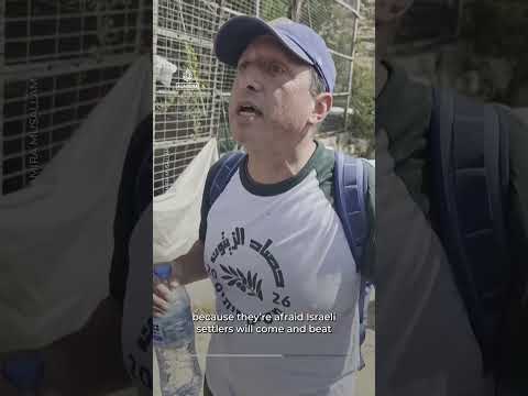 US congressional candidate detained at Occ. West Bank olive harvest | AJ #shorts