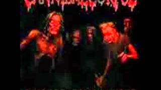 Cannibal Corpse - Carnivorous Swarm guitar cover