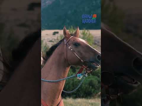 Que quelqu'un mette la main sur ces animaux dégoûtants !