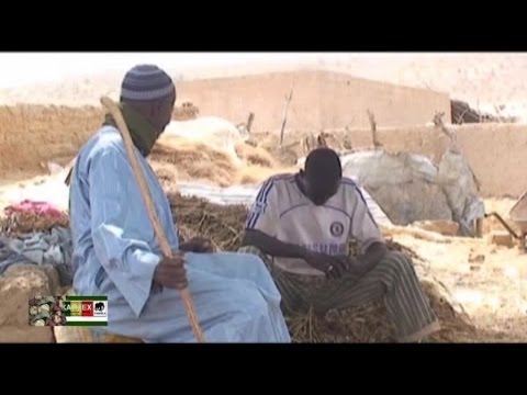 SAMBA NAGANA 1/2 - THEATRE SONINKE