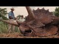 Jurassic Park Trilogy DVD Trailer HQ