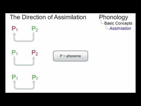 Linguistic Micro Lectures  Assimilation