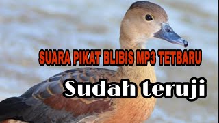 Download lagu SUARA PIKAT BLIBIS MP3 TERBARU mp3