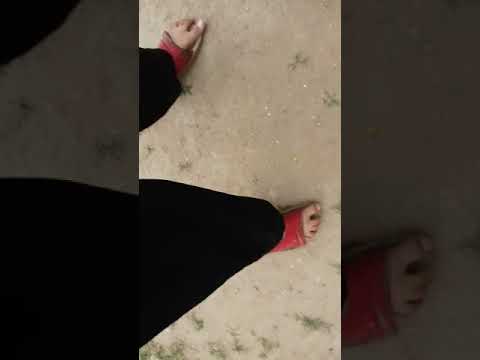 bank bank 76 cat 7th  javeria dhdhgsishjr