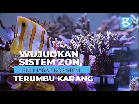 , title : 'Wujudkan sistem zon, pulihara ekosistem terumbu karang'