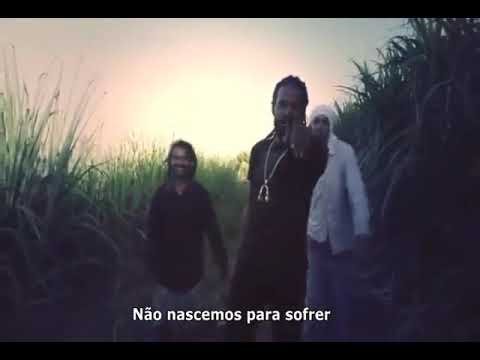 Al Griffiths - We Are Not