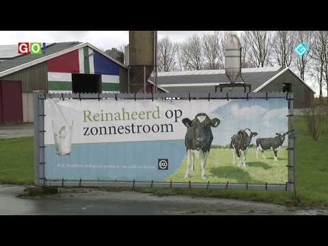 De meningen over plannen Zonnepark in Finsterwolde - RTV GO! Omroep Gemeente Oldambt