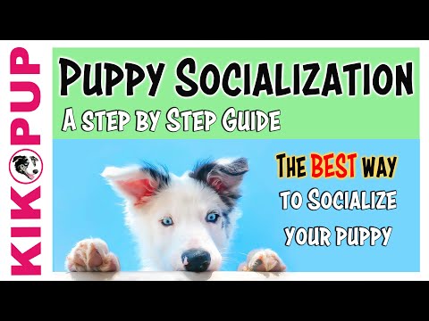 STOP UNWANTED behaviors with BACK UP