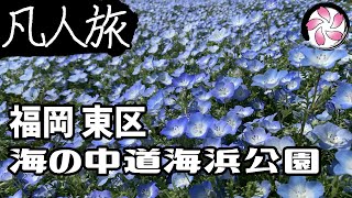 【凡人旅】海の中道海浜公園に行く