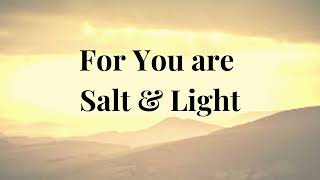 Salt &amp; Light by Lauren Daigle Instrumental Lyric Video
