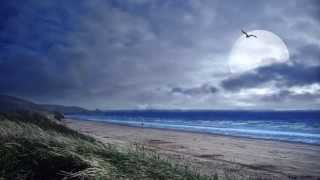 Andrea Parodi & Al Di Meola:"No potho reposare"