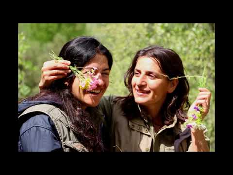 Özlem- Bermal - Lo Miro