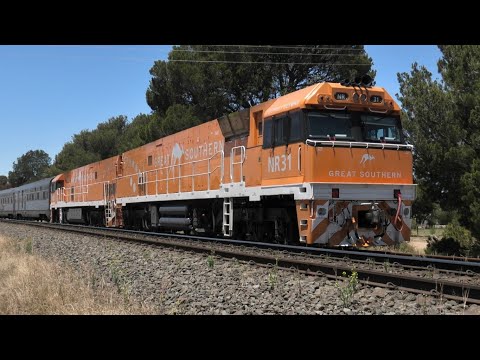 The Chase Of The Great Southern