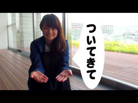 Ｈｅｌｌｏ！Ｚｏｏｍｅｒ (ハローズーマー) ついてきて！編