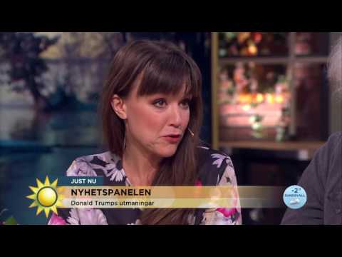 Nyhetspanelen: "Republikanerna har aldrig haft så mycket makt som nu"  - Nyhetsmorgon (TV4)
