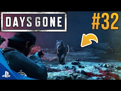 JASKINIA WILKÓW ZOMBIE... DAYS GONE #32