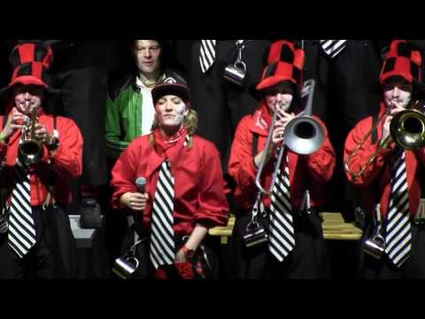 Oberwolfach Narrentreffen  04.02.17 Telegrasle