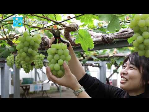 DISCOVER OKAYAMA JAPAN × West Japan Railway （繁体字）