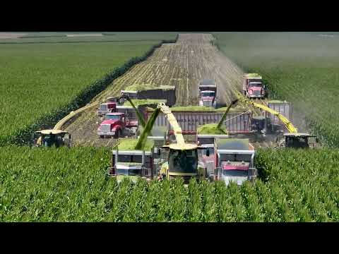 Corn Silage Harvest with 3 Choppers (2 Krone 1180's plus a  John Deere 9900 )