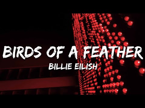 Billie Eilish - Bird Of A Feather