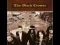 The Black Crowes - Hotel Illness (HQ)