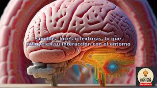 Comprende dos hipótesis interesantes con mucha atención científica sobre virus.