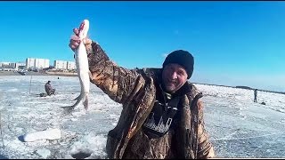 Что ловят зимой в реке амур