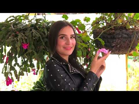 OTRA BOTELLA-GRUPO LAS LLAVES DE ORO  Mario Rodriguez y Guillermo Rodriguez