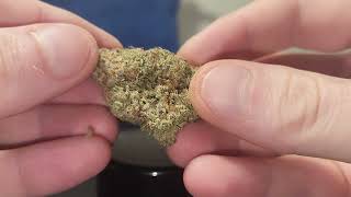 Flow Gardens Black Ice Strain Review