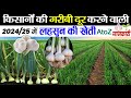 Lahsun Ki Kheti लहसुन की खेती A To Z जानकारी Lahsun Ki Kheti Kab