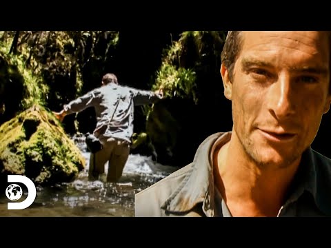 El inesperado encuentro de Bear con hipopótamos en la Sabana Africana | A Prueba de Todo