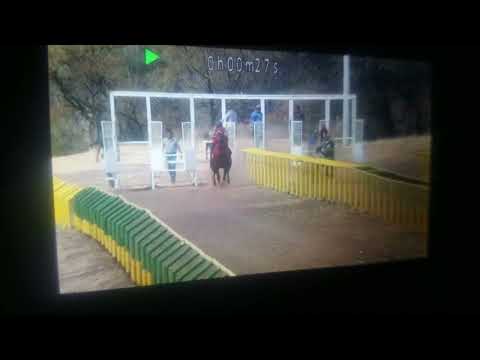 El ruso vs el moro papucho