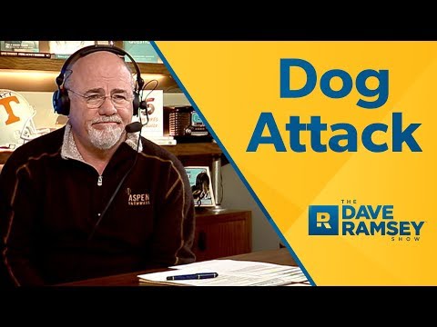 YouTube video about: Can you sue someone for running over your dog?