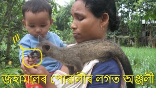Human mother feeding animals baby । Rescue animal । Friendship with animals। মানুহ আৰু বন্যপ্ৰাণী