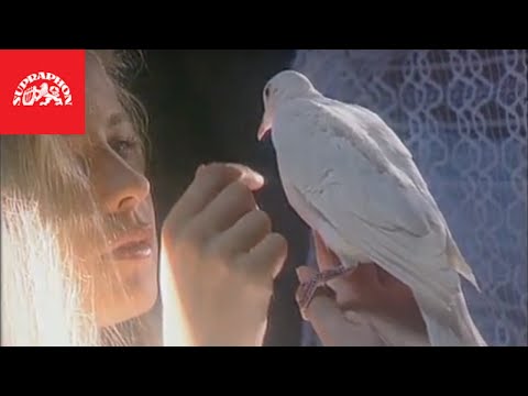 Zemětřesení  - Holubí dům (Oficiální video)