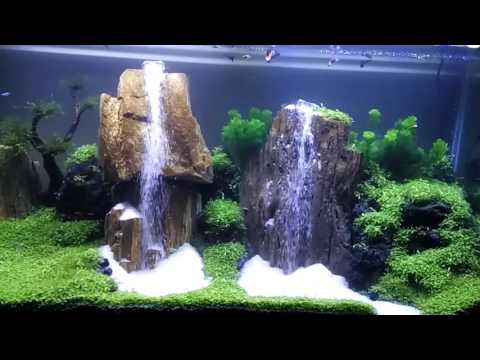 Aquascape 2 air terjun (waterfall aquascape)