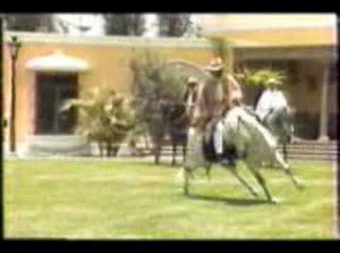 Edith Barr- Jose Antonio (1984)