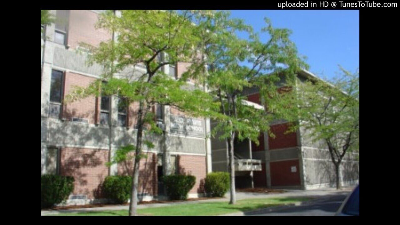 Davis High School Principal Ryan McDaniel Talks About Davis High and its Class of 2020