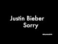 Justin Bieber Sorry Lyrics