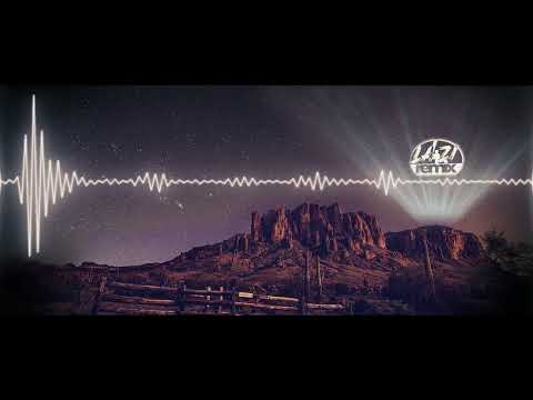 Tiësto & Ty Dolla $ign - The Business, Pt. II (LA4ZI Remix)