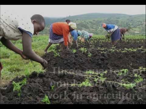 Uganda on the Move: A PRB ENGAGE Presentation Video thumbnail