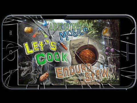 Let S Cook Enduro Stew