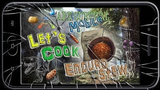 Let's Cook Enduro Stew!