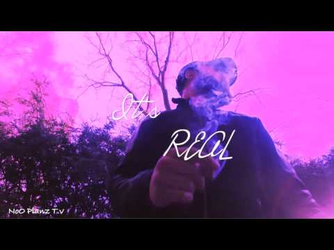 Shice Dot - It's real (SunSett)