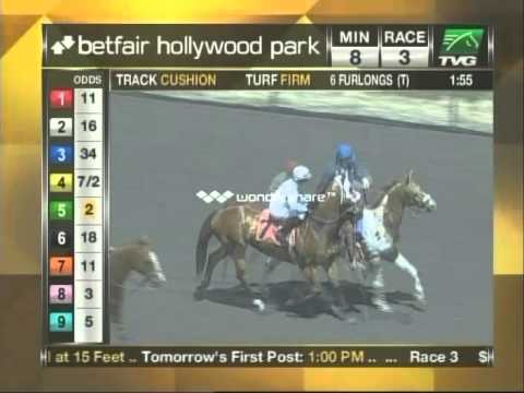 SynNutra SynOsteon thoroughbred horseracing success story....Follini wins!