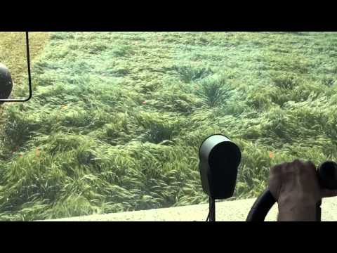 DOMAI MPD 611 CLAAS 960 TRITICALE ALETTATO