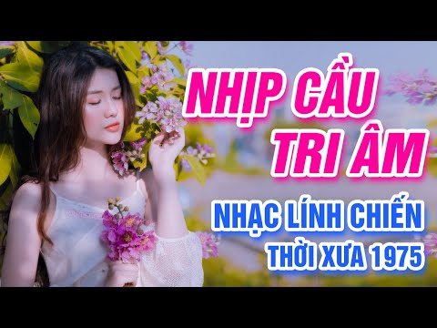 Nhịp Cầu Tri Âm, Thị Trấn Về Đêm | LK Rumba Nhạc Lính Hải Ngoại 1975 Được Nghe Nhiều Nhất