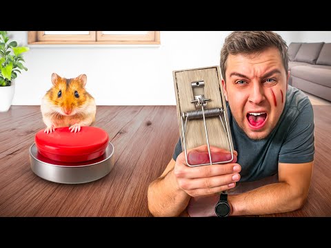 CHOMIK DECYDUJE O MOIM CAŁYM DNIU!