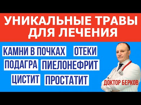 Лечение травами. Болезни почек. Камни в почках. Подагра. Отеки. Давление. Мешки под глазами. Детокс.